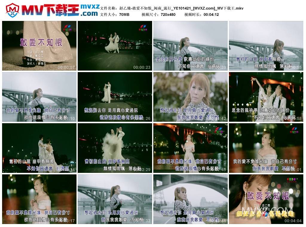 赵乙臻-敢爱不知恨_闽南_流行_YE101421